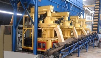 1000kg/h Sawdust Pellet Plant In Turkey